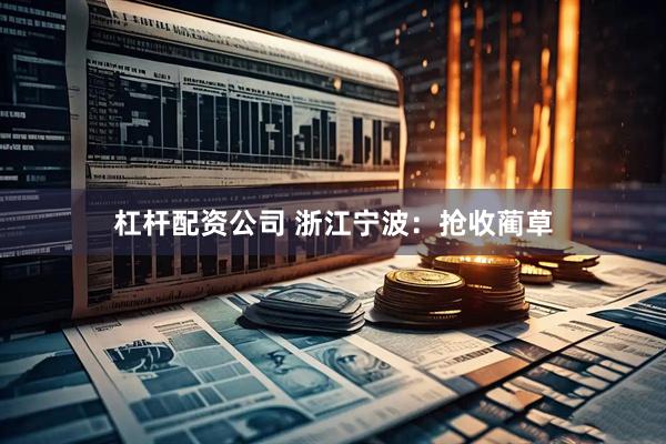 杠杆配资公司 浙江宁波：抢收蔺草